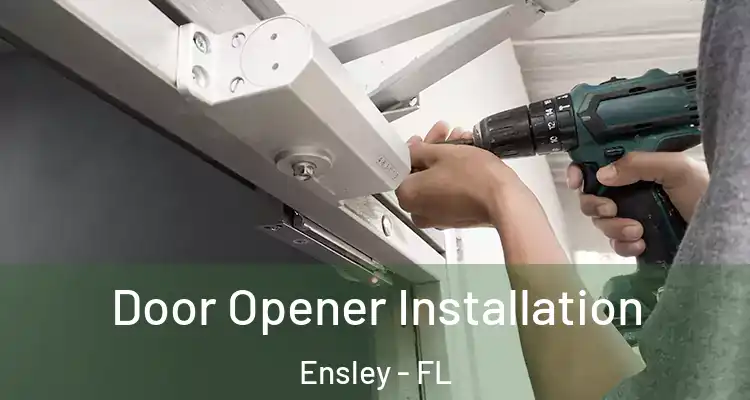 Door Opener Installation Ensley - FL