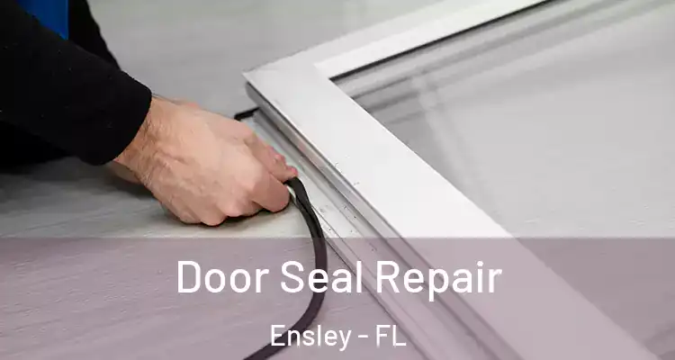  Door Seal Repair Ensley - FL