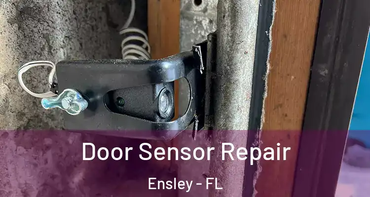  Door Sensor Repair Ensley - FL